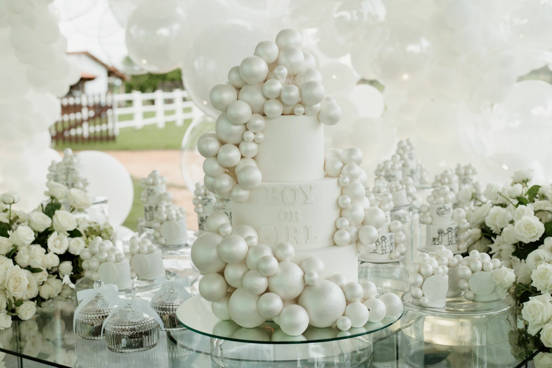 Foto Chá Revelação do José Leonardo para Virginia e Zé Felipe na Fazenda Talismã  - Imagem 0